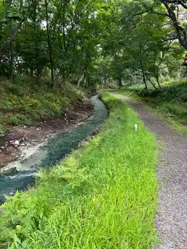 川湯神社(北海道)