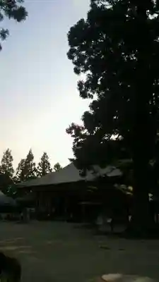 毛越寺(岩手県)