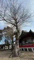若宮神社(徳島県)