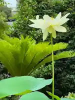 伊勢の国 四天王寺の自然