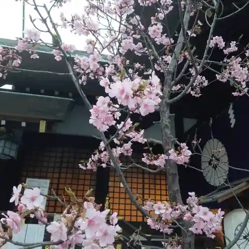 東京大神宮の自然