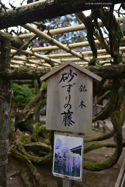 春日大社(奈良県)