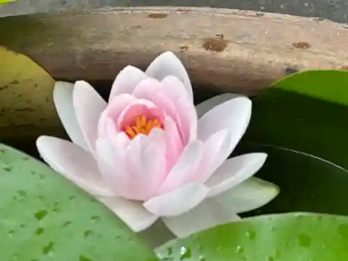 建長寺(神奈川県)
