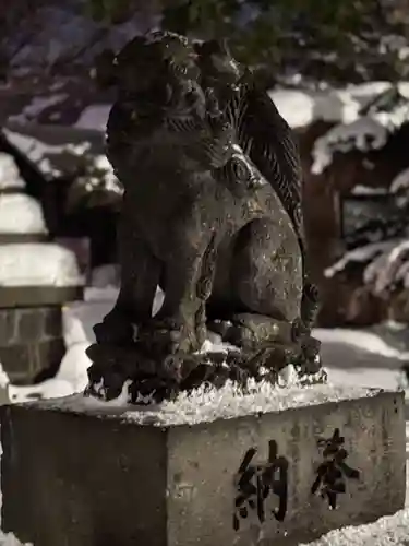 新琴似神社の狛犬