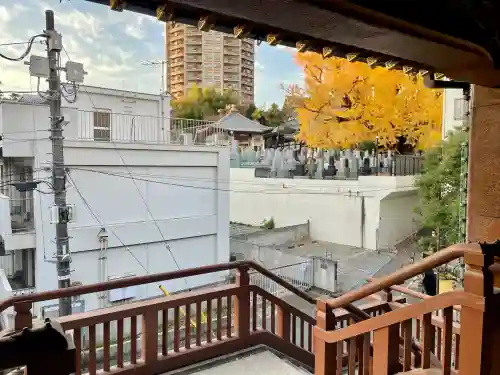 専光寺(東京都)