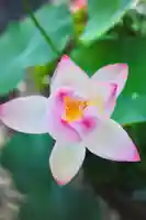 浄土寺(兵庫県)