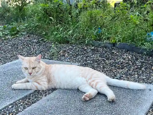 南法華寺（壷阪寺）の動物