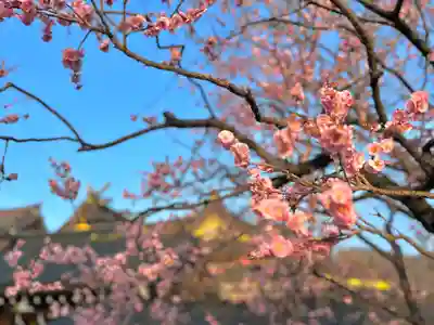 湯島天満宮(長野分社)の自然