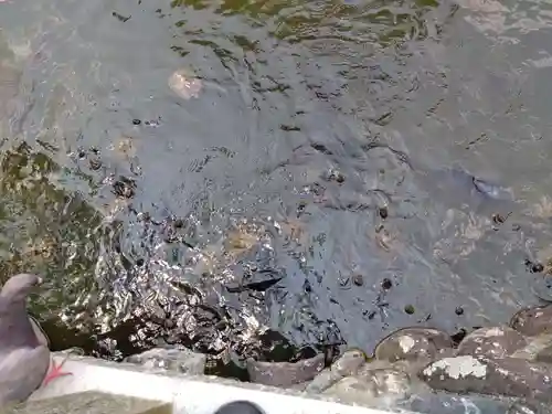 川原神社(愛知県)