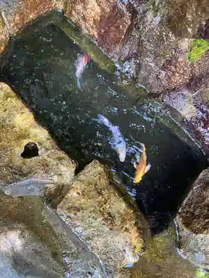 貴船神社(群馬県)