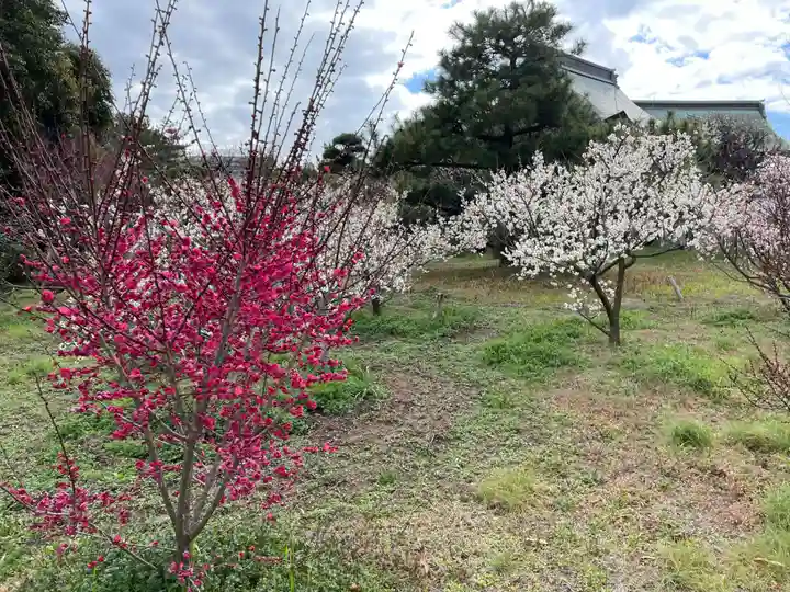 曽根天満宮(兵庫県)