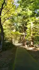 大矢田神社の自然