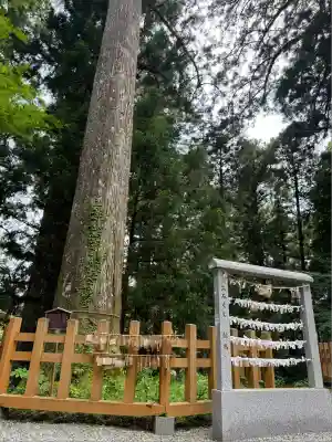 須山浅間神社(静岡県)