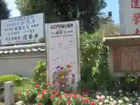 蓮馨寺(埼玉県)