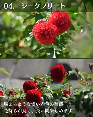宝光寺(北海道)