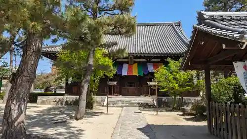 百萬遍知恩寺(京都府)