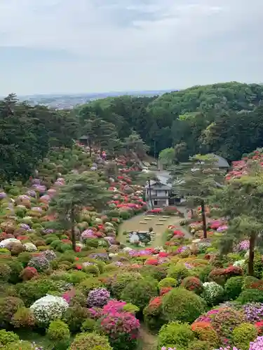 塩船観音寺の景色