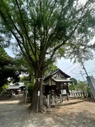 桐生天満宮(群馬県)
