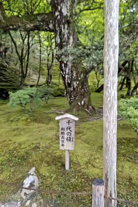 慈照寺(慈照禅寺・銀閣寺)(京都府)