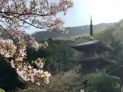 浄発願寺の建物その他