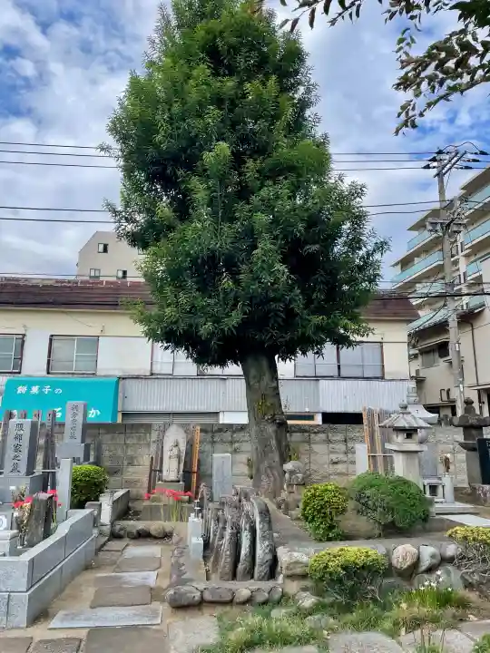 長福寺(東京都)