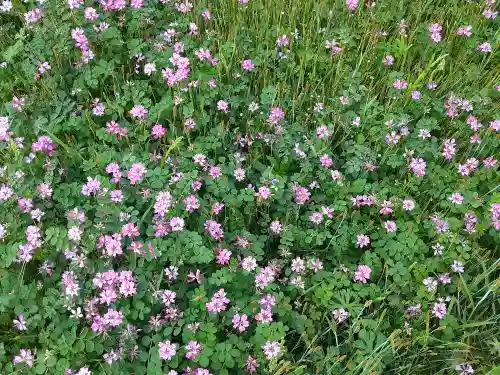 城山稲荷神社の周辺