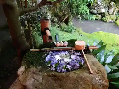 柳谷観音　楊谷寺(京都府)