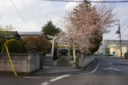 上青木氷川神社の鳥居