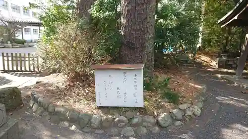 宗像神社の自然
