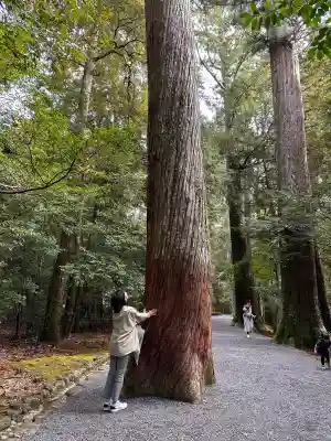 瀧原宮(皇大神宮別宮)の{uncategorized: "未分類", other: "その他", undefined: "問題あり", building: "その他建物", grave: "お墓", sacred_gate: "鳥居", guardian: "狛犬", statue: "像", buddha: "仏像", history: "歴史", nature: "自然", garden: "庭園", animal: "動物", pagoda: "塔", temizu: "手水舎", mountain_gate: "山門・神門", sanctuary: "本殿・本堂", subordinate: "末社・摂社", art: "芸術", scenery: "景色", jizo: "地蔵", ema: "絵馬", goshuin: "御朱印", omikuji: "おみくじ", items: "授与品その他", amulet: "お守り", goshuincho: "御朱印帳", eats: "食事", festival: "お祭り", votive_dance: "神楽", shichigosan: "七五三参", wedding: "結婚式", experience: "体験その他", initially: "初詣", around: "周辺", anti_infection: "感染症対策"}