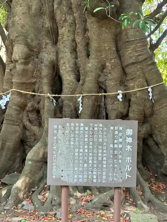 下多賀神社の{uncategorized: "未分類", other: "その他", undefined: "問題あり", building: "その他建物", grave: "お墓", sacred_gate: "鳥居", guardian: "狛犬", statue: "像", buddha: "仏像", history: "歴史", nature: "自然", garden: "庭園", animal: "動物", pagoda: "塔", temizu: "手水舎", mountain_gate: "山門・神門", sanctuary: "本殿・本堂", subordinate: "末社・摂社", art: "芸術", scenery: "景色", jizo: "地蔵", ema: "絵馬", goshuin: "御朱印", omikuji: "おみくじ", items: "授与品その他", amulet: "お守り", goshuincho: "御朱印帳", eats: "食事", festival: "お祭り", votive_dance: "神楽", shichigosan: "七五三参", wedding: "結婚式", experience: "体験その他", initially: "初詣", around: "周辺", anti_infection: "感染症対策"}