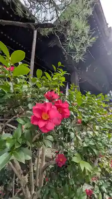 行願寺（革堂）(京都府)