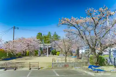 中新田城跡・八幡神社(宮城県)