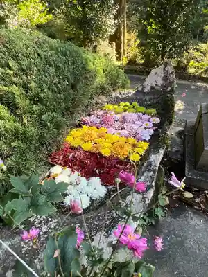 木幡山隠津島神社(二本松市)(福島県)