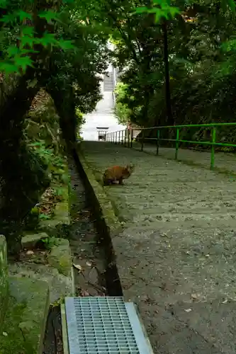 新田神社(鹿児島県)