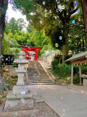 小川諏訪神社の鳥居