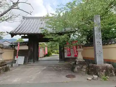 桃牛寺の山門・神門