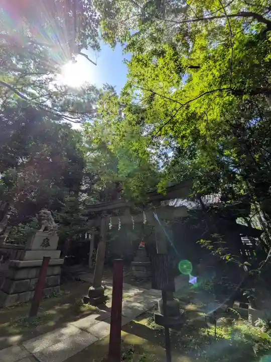 赤坂氷川神社(東京都)