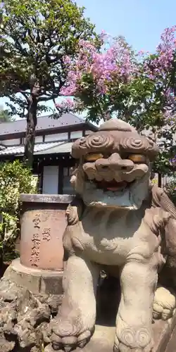 白山神社(東京都)