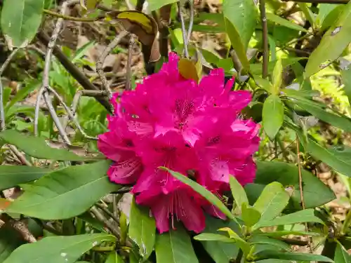 奥の院（菩提院）(奈良県)