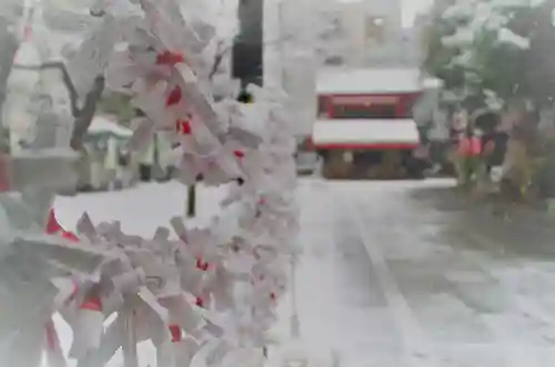くまくま神社(導きの社 熊野町熊野神社)のおみくじ