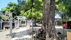 芳川神社(埼玉県)