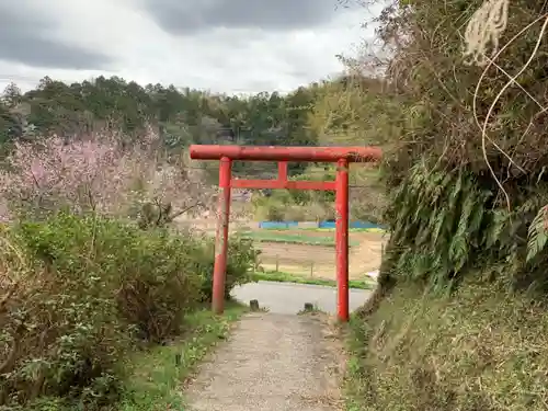 熊野神社の鳥居