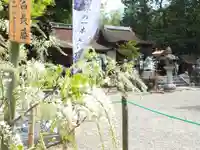 志那神社の本殿・本堂