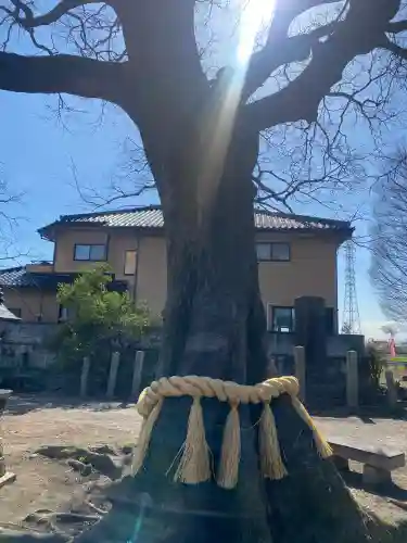 島田八坂神社(栃木県)