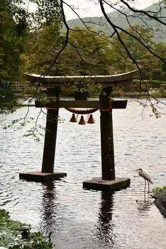 天祖神社(大分県)