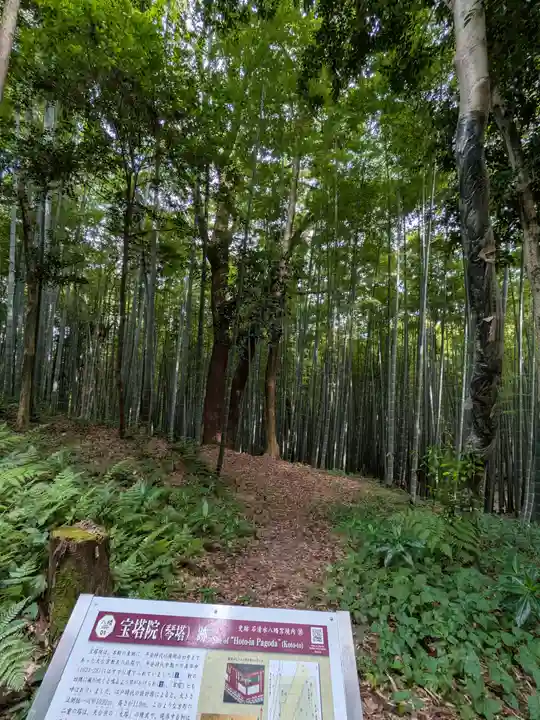 石清水八幡宮(京都府)