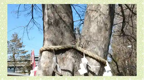 鎮守氷川神社(埼玉県)