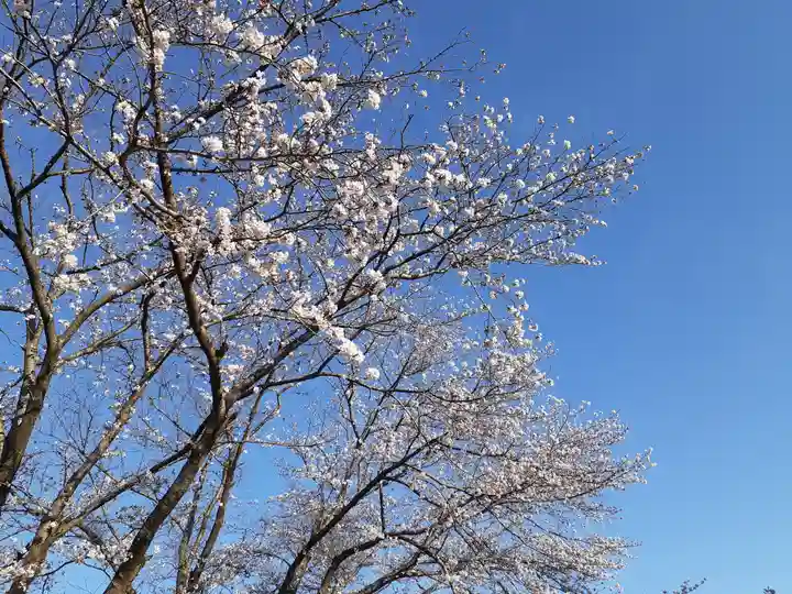 伏木香取神社の自然