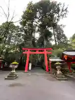 箱根神社(神奈川県)